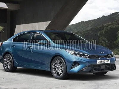Cerato